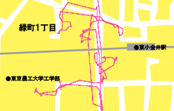東京都小金井市緑町(1)ポスティング作業記録